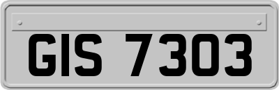 GIS7303
