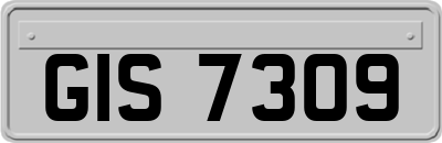 GIS7309