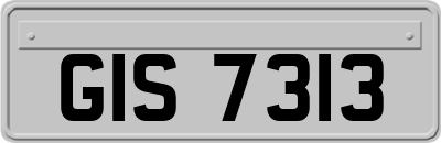 GIS7313