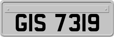 GIS7319