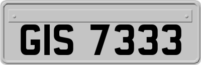GIS7333