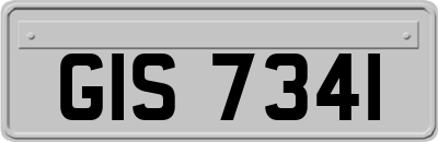 GIS7341