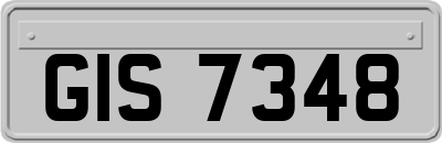 GIS7348