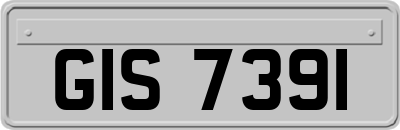 GIS7391