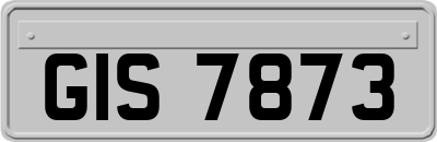 GIS7873