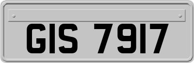 GIS7917