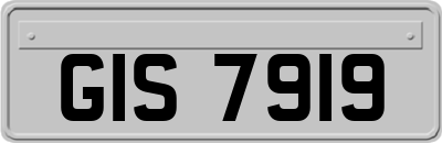 GIS7919