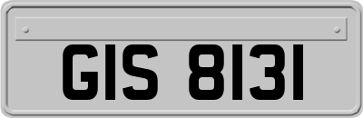 GIS8131