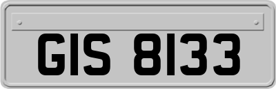 GIS8133