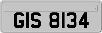 GIS8134