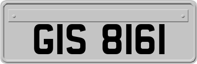GIS8161