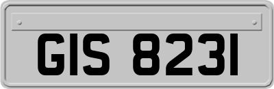 GIS8231