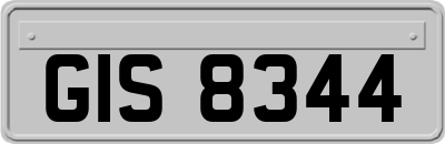 GIS8344
