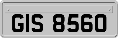 GIS8560