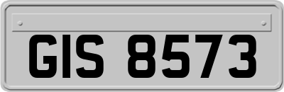 GIS8573