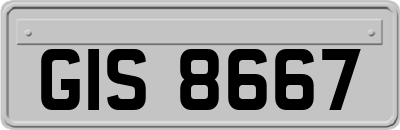GIS8667