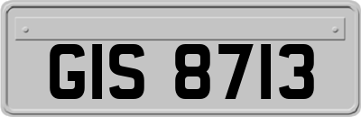 GIS8713