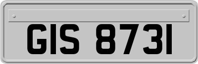 GIS8731