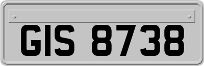 GIS8738
