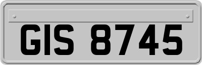 GIS8745