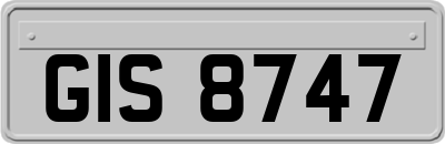 GIS8747