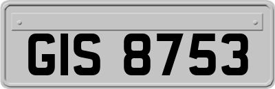 GIS8753