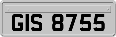 GIS8755