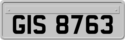 GIS8763