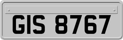 GIS8767