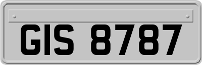 GIS8787