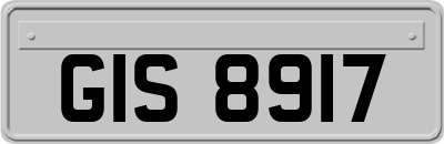 GIS8917