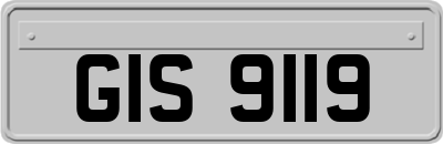 GIS9119