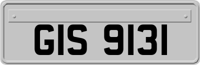 GIS9131