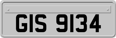 GIS9134