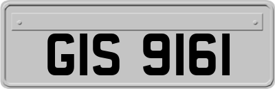 GIS9161
