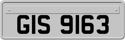 GIS9163