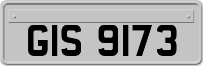 GIS9173