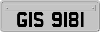 GIS9181