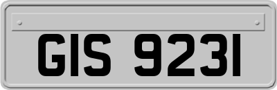 GIS9231