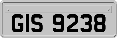 GIS9238