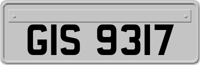 GIS9317