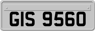 GIS9560