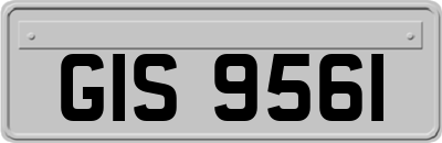 GIS9561