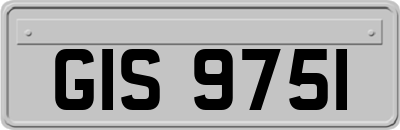 GIS9751