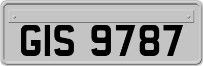 GIS9787