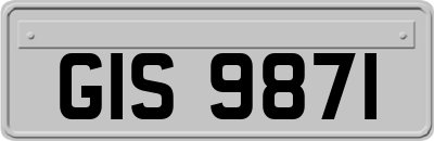 GIS9871