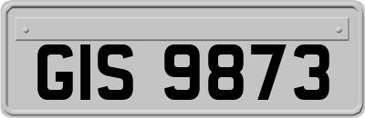 GIS9873
