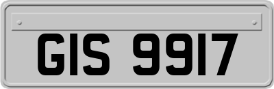 GIS9917
