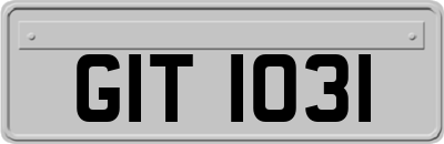 GIT1031