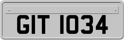 GIT1034